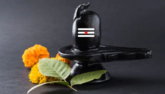 Shravan Month 2020: ಯಾವ ಶಿವಲಿಂಗದ ಪೂಜೆಯಿಂದ ಏನು ಫಲ ಲಭಿಸುತ್ತದೆ ...? ಈ ವರದಿ ಓದಿ