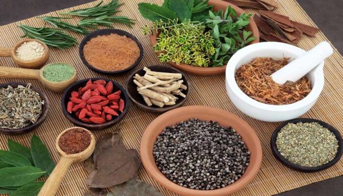 Coronavirus: ಆಯುರ್ವೇದಿಕ್ ಔಷಧಿಯ ಕ್ಲಿನಿಕಲ್ ಟ್ರಯಲ್ USನಲ್ಲಿ ನಡೆಯಲಿದೆ Coronavirus: ಆಯುರ್ವೇದಿಕ್ ಔಷಧಿಯ ಕ್ಲಿನಿಕಲ್ ಟ್ರಯಲ್ USನಲ್ಲಿ ನಡೆಯಲಿದೆ
