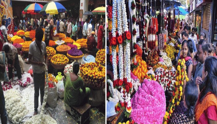 ಗೌರಿ-ಗಣೇಶ ಹಬ್ಬ: ಇಂದಿನಿಂದ 4 ದಿನ ಮೈಸೂರಿನ ಹೆಸರಾಂತ ಮಾರುಕಟ್ಟೆ ಬೇರೆಡೆ ಸ್ಥಳಾಂತರ ಗೌರಿ-ಗಣೇಶ ಹಬ್ಬ: ಇಂದಿನಿಂದ 4 ದಿನ ಮೈಸೂರಿನ ಹೆಸರಾಂತ ಮಾರುಕಟ್ಟೆ ಬೇರೆಡೆ ಸ್ಥಳಾಂತರ