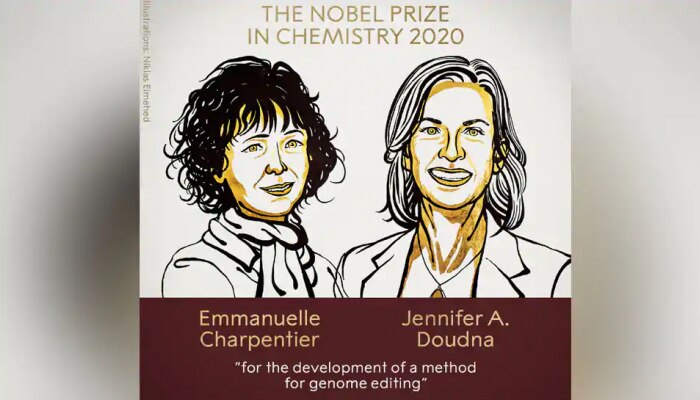Nobel Prize 2020: ಎಮ್ಯಾನುಯೆಲ್ ಚಾರ್ಪೆಂಟಿಯರ್ ಮತ್ತು ಜೆನ್ನಿಫರ್ ಎ ಡೌಡ್ನಾ ಗೆ ರಸಾಯನಶಾಸ್ತ್ರದ ನೊಬೆಲ್ Nobel Prize 2020: ಎಮ್ಯಾನುಯೆಲ್ ಚಾರ್ಪೆಂಟಿಯರ್ ಮತ್ತು ಜೆನ್ನಿಫರ್ ಎ ಡೌಡ್ನಾ ಗೆ ರಸಾಯನಶಾಸ್ತ್ರದ ನೊಬೆಲ್