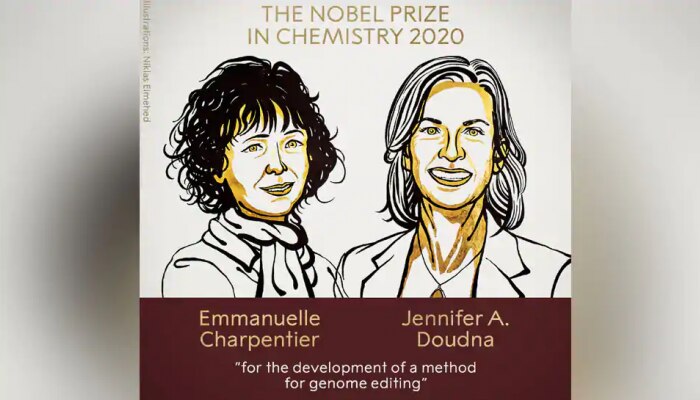  Nobel Prize 2020: ಎಮ್ಯಾನುಯೆಲ್ ಚಾರ್ಪೆಂಟಿಯರ್ ಮತ್ತು ಜೆನ್ನಿಫರ್ ಎ ಡೌಡ್ನಾ ಗೆ ರಸಾಯನಶಾಸ್ತ್ರದ ನೊಬೆಲ್  title=