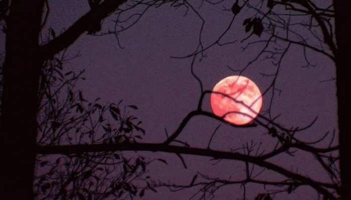 Lunar eclipse 2021: ಈ ವರ್ಷದ ಮೊದಲ ಚಂದ್ರ ಗ್ರಹಣ ಯಾವಾಗ ? ಎಲ್ಲಿ?
