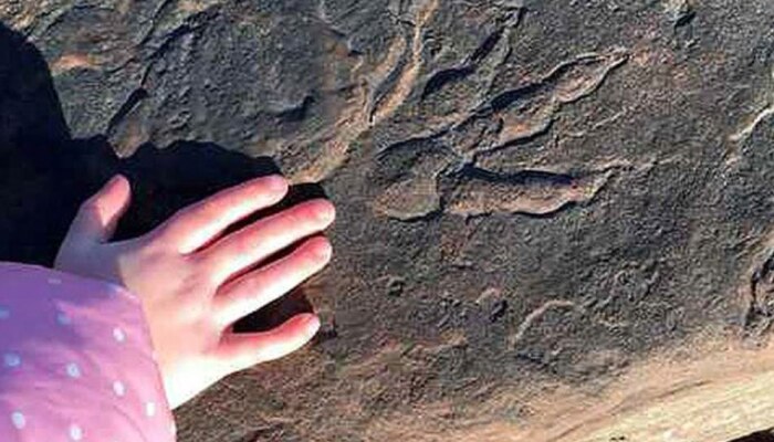 Dinosaur Footprint : ಅಚ್ಚರಿ..! 4 ವರ್ಷದ ಮಗು ಪತ್ತೆ ಹಚ್ಚಿತು 20 ಕೋಟಿ ವರ್ಷ ಹಿಂದಿನ ಡೈನೋಸರಸ್ ಹೆಜ್ಜೆಗುರುತು!