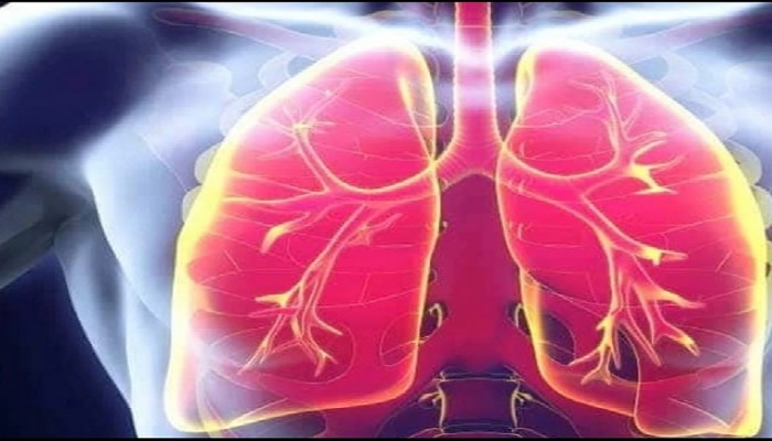 Tips for your Lungs: ಜಸ್ಟ್, ಈ ಮೂರು ಮಸಾಲೆ ತಿನ್ನಿ..! ನಿಮ್ಮ ಶ್ವಾಸಕೋಶ ಆಗುತ್ತೆ ಸ್ಟ್ರಾಂಗ್ &amp; ಕ್ಲೀನ್.!
