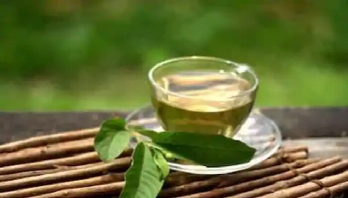 Guvava Leaves Tea: ಪೇರಳೆ ಹಣ್ಣಿನ ಎಳೆಗಳ ಈ ಪೇಯ ಬೊಜ್ಜು ನಿವಾರಕ