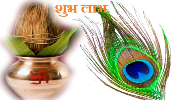 Vastu Tips: ಮನೆಯಲ್ಲಿ ಒಂದು ನವಿಲುಗರಿ ಇಡುವುದರಿಂದಾಗುವ ಲಾಭಗಳು