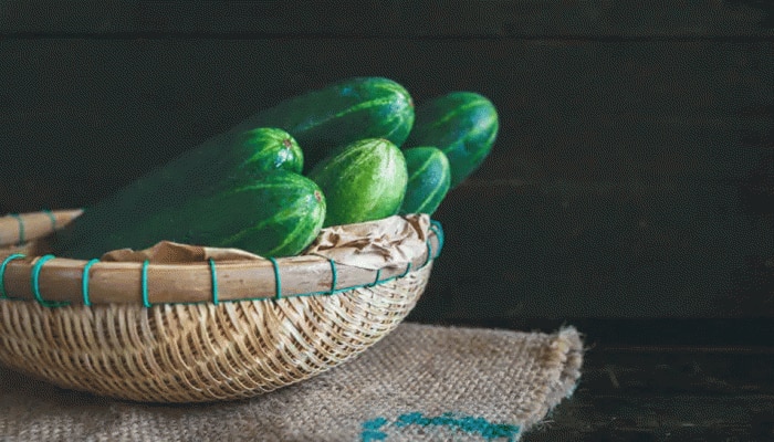 Cucumber Peel Benefits: ಸೌತೆಕಾಯಿ ಸಿಪ್ಪೆಯನ್ನು ಎಸೆಯುವ ಮುನ್ನ ಇದನ್ನೊಮ್ಮೆ ಓದಿ 