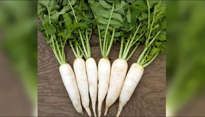 Benefits of Radish: ಮೂಲಂಗಿ ಮತ್ತು ಅದರ ಎಲೆಗಳಲ್ಲಿದೆ ನಿಮ್ಮ ಕುಟುಂಬದವರ ಆರೋಗ್ಯ!