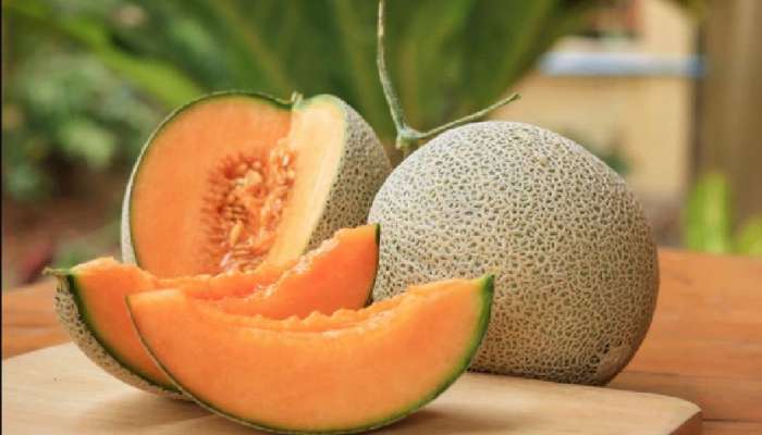 Melon Fruit Benefits : 'ಕರಬೂಜ ಹಣ್ಣಿ'ನಲ್ಲಿದೆ ನಿಮ್ಮ ಆರೋಗ್ಯ ಮತ್ತು ಸೌಂದರ್ಯದ ಗುಟ್ಟು! title=