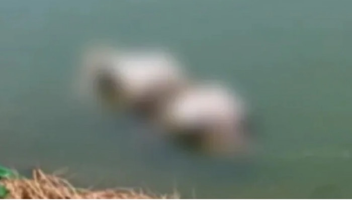 Dead Bodies In River Ganga - ಗಂಗಾ ನದಿಯಲ್ಲಿ ತೇಲಾಡಿದ 30ಕ್ಕೂ ಅಧಿಕ ಶವಗಳು, ಕೊರೊನಾ ಮಹಾಮಾರಿ ಕಾರಣ ಆತಂಕದಲ್ಲಿ ಜನರು