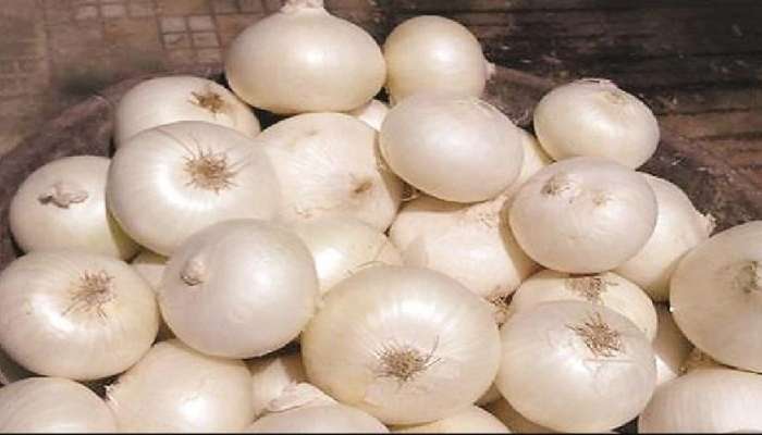 White Onion Benefits : ಬೇಸಿಗೆಯಲ್ಲಿ ಪುರುಷರು ಬಿಳಿ ಈರುಳ್ಳಿ ಸೇವಿಸಬೇಕು! ಯಾಕೆ ಇಲ್ಲಿ ನೋಡಿ title=