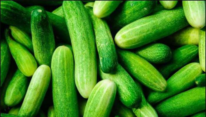 Cucumber Benefits : ಬೇಸಿಗೆಯಲ್ಲಿ ಡಿಹೈಡ್ರೇಶನ್ ಸಮಸ್ಯೆ ನೀಗಿಸಲು ಸೌತೆಕಾಯಿ ಸೇವಿಸಿ..!