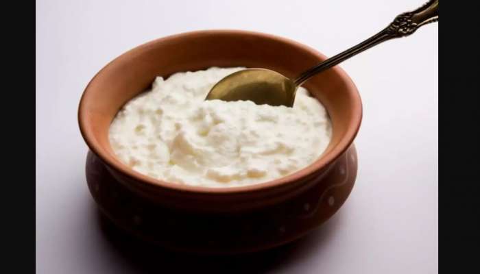 Curd Benefits : ಮೊಸರಿನಲ್ಲಿದೆ ನಿಮ್ಮ ಆರೋಗ್ಯದ ಗುಟ್ಟು : ಇಲ್ಲಿದೆ ಅದರ ಪ್ರಯೋಜನಗಳು title=