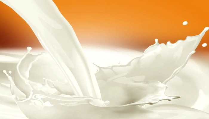 Foods Avoid With Milk: ಹಾಲು ಕುಡಿಯುವ ಮುನ್ನ  ಐದು ಆಹಾರಗಳನ್ನು ಖಂಡಿತಾ ಸೇವಿಸಬೇಡಿ title=