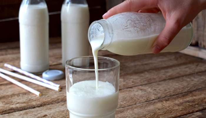 Cow Milk Vs Buffalo Milk: ಹಸು/ಎಮ್ಮೆ ಹಾಲಿನಲ್ಲಿ ಯಾವುದು ಹೆಚ್ಚು ಪ್ರಯೋಜನಕಾರಿ 