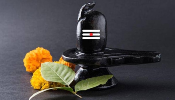 Vastu Shastra: ನಿತ್ಯ ಪೂಜೆ ಮತ್ತು ಇತರೆಡೆ ಬಳಕೆಯಾಗುವ ಈ ವಸ್ತುಗಳನ್ನು ನೇರವಾಗಿ ನೆಲದ ಮೇಲಿರಿಸಬೇಡಿ