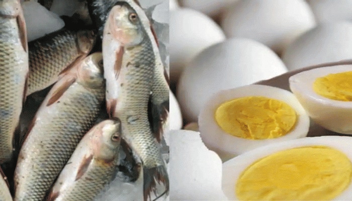 Food Avoid With Egg: ಮೊಟ್ಟೆ ಜೊತೆಗೆ ಈ ಆಹಾರಗಳನ್ನು ಎಂದಿಗೂ ಸೇವಿಸಬೇಡಿ