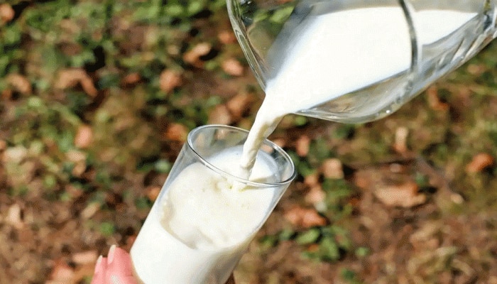 How To Check Milk Purity: ಹಾಲಿನ ಶುದ್ಧತೆ ಪತ್ತೆ ಹಚ್ಚಲು ಈ ಮಾರ್ಗ ಅನುಸರಿಸಿ