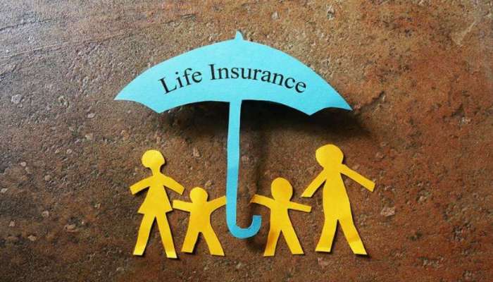 Life Insurance : ಮಳೆಗಾಲದಲ್ಲಿ ಇರಲಿ ಈ 3 &#039;ಜೀವ ವಿಮಾ&#039; ಪಾಲಿಸಿಗಳು!