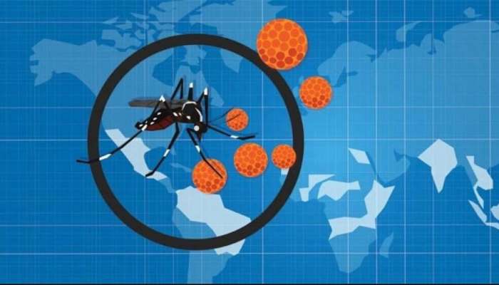 Zika Virus Symptoms : ಕೇರಳದಲ್ಲಿ ಜಿಕಾ ವೈರಸ್ ಪತ್ತೆ : ಇಲ್ಲಿದೆ ವೈರಸ್‌ನ ಲಕ್ಷಣಗಳು ಮತ್ತು ಚಿಕಿತ್ಸೆ ಬಗ್ಗೆ ಮಾಹಿತಿ
