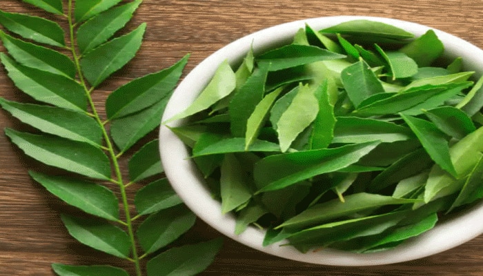 Curry Leaf Benefits: ಕರಿಬೇವಿನ ಎಲೆ ರಸ ಸೇವನೆಯಿಂದ ಸಿಗುತ್ತೆ ಈ ಪ್ರಯೋಜನ