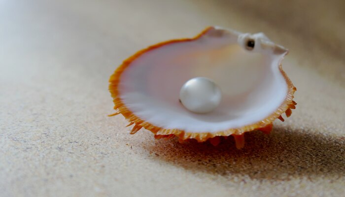 Benefits Of Wearing Pearl: ದೇವಿ ಲಕ್ಷ್ಮಿಯ ಕೃಪೆ ಸದಾ ನಿಮ್ಮ ಮೇಲಿರಲು ಈ ಕೆಲಸ ಮಾಡಿ, ಹಣದ ಮುಗ್ಗಟ್ಟು ಎದುರಾಗುವುದಿಲ್ಲ