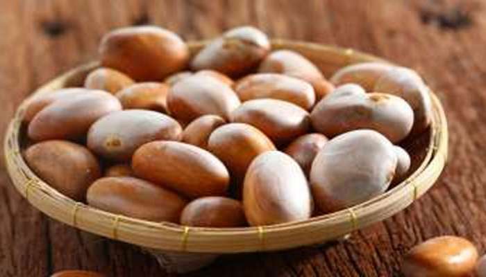 Jackfruit Seeds For Diabetic Patients: ಈ ಅದ್ಭುತ ಕಾರಣಗಳಿಗಾಗಿ ತಿನ್ನಿ ಹಲಸಿನ ಹಣ್ಣಿನ ಬೀಜ