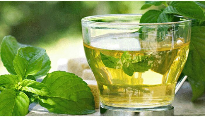 Mint Tea Health Tips: ಪ್ರತಿದಿನ ಮಲಗುವ ಮೊದಲು ಒಂದು ಕಪ್ ಪುದೀನ ಚಹಾ ಸೇವಿಸಿ ಈ ಪ್ರಯೋಜನ ಪಡೆಯಿರಿ