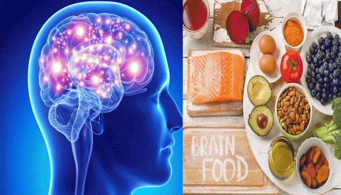 Food To Increase Memory: ನೆನಪಿನ ಶಕ್ತಿಯನ್ನು ಹೆಚ್ಚಿಸಲು ಈ 5 ಆಹಾರವನ್ನು ತಪ್ಪದೇ ಸೇವಿಸಿ title=