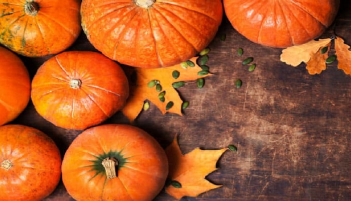 Pumpkin Benefits : ಈ ಆರೋಗ್ಯ ಕಾರಣಗಳಿಗಾಗಿ ತಿನ್ನಲೇಬೇಕು ಕುಂಬಳಕಾಯಿ