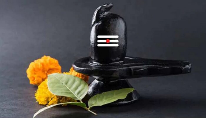 Shravan Mas 2021: ಇಂದಿನಿಂದ ಶ್ರಾವಣ ಮಾಸ ಆರಂಭ, ಮೊದಲ ಸೋಮವಾರ ಶಿವನನ್ನು ಒಲಿಸಿಕೊಳ್ಳಲು ಈ ರೀತಿ ಪೂಜೆ ಸಲ್ಲಿಸಿ