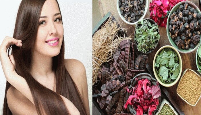 Herbs For Hair: ನಿಮ್ಮ ಕೂದಲಿಗೆ ಹೊಸ ಲೈಫ್ ನೀಡುತ್ತೆ ಈ 5 ಗಿಡಮೂಲಿಕೆಗಳು
