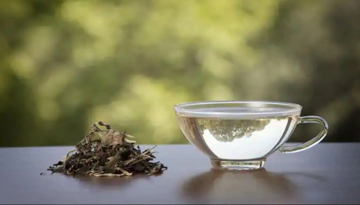 White Tea Benefits : ನೀವು ಎಂದಾದರೂ White Tea ಪ್ರಯತ್ನಿಸಿದ್ದೀರಾ? ಪ್ರಯತ್ನಿಸಿ ಮತ್ತು ಅನೇಕ ಆರೋಗ್ಯ ಪ್ರಯೋಜನ ನಿಮ್ಮದಾಗಿಸಿಕೊಳ್ಳಿ! 