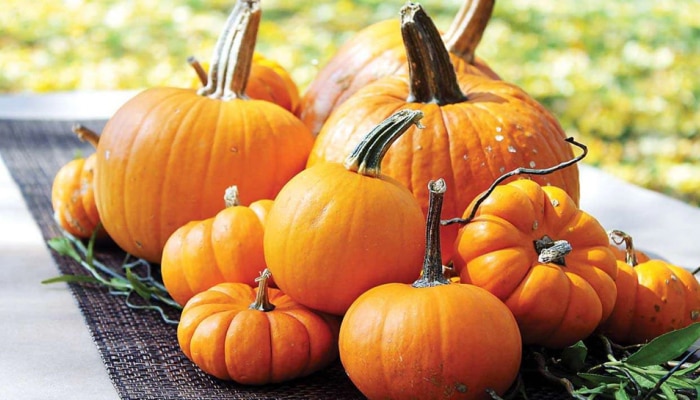 Health Benefits of Pumpkin: ಬೊಜ್ಜು ಕರಗಿಸಬೇಕೆ? ನಿಯಮಿತವಾಗಿ ಕುಂಬಳಕಾಯಿ ಸೇವಿಸಿ, ಸಿಗಲಿವೆ ಹಲವು ಲಾಭಗಳು