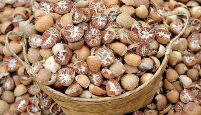 Today Arecanut Price: ಕರ್ನಾಟಕದ ಪ್ರಮುಖ ಮಾರುಕಟ್ಟೆಯಲ್ಲಿ ಇಂದಿನ ಅಡಿಕೆ ಬೆಲೆ ಎಷ್ಟಿದೆ ನೋಡಿ… title=