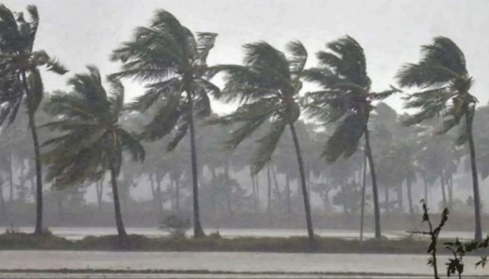 Cyclone Shaheen: ಗುಲಾಬ್ ನಂತರ, ಈಗ ಶಾಹೀನ್ ಚಂಡಮಾರುತದ ಭೀತಿ