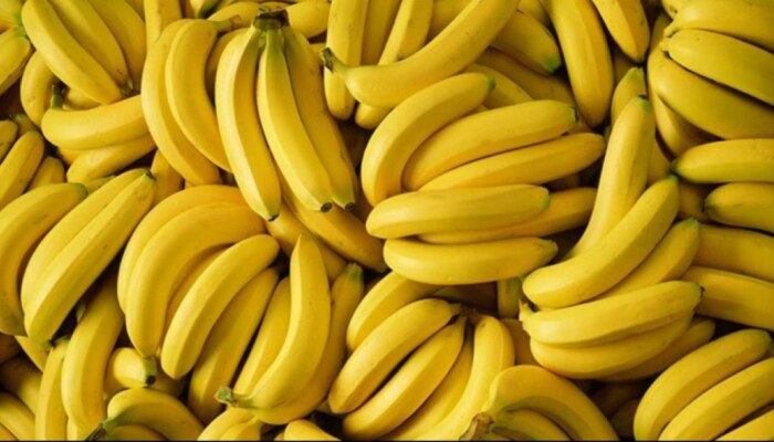 Benefit of Banana : ಈ ಸಮಯದಲ್ಲಿ ಪ್ರತಿನಿತ್ಯ ಕೇವಲ 1 ಬಾಳೆಹಣ್ಣು ಸೇವಿಸಿ, ನೀವು ಅದ್ಭುತ ಪ್ರಯೋಜನಗಳನ್ನು ಪಡೆಯುತ್ತೀರಿ
