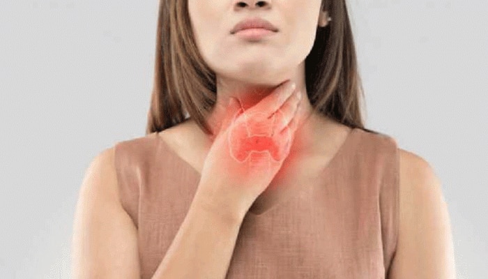 Thyroid Problem: ನೀವು ಥೈರಾಯ್ಡ್ ಸಮಸ್ಯೆಯಿಂದ ತೊಂದರೆಗೀಡಾಗಿದ್ದರೆ ಪ್ರತಿದಿನ ಇದನ್ನು ತಿನ್ನಿರಿ, ಶೀಘ್ರವೇ ಗೋಚರಿಸುತ್ತೆ ಪರಿಣಾಮ