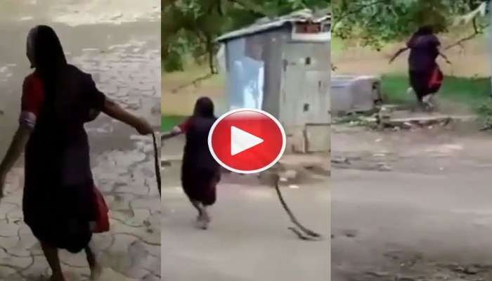 Video: ಮನೆಯಲ್ಲಿ ಅಡಗಿದ್ದ ನಾಗರಹಾವನ್ನು ನಾಯಿ ಮರಿಯಂತೆ ಎಳೆದುಕೊಂಡು ಹೋದ ಅಜ್ಜಿ  