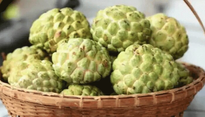 Side Effects of Custard Apple: ಈ ಜನರು ಮರೆತೂ ಸಹ ಸೀತಾಫಲವನ್ನು ತಿನ್ನಲೇಬಾರದು