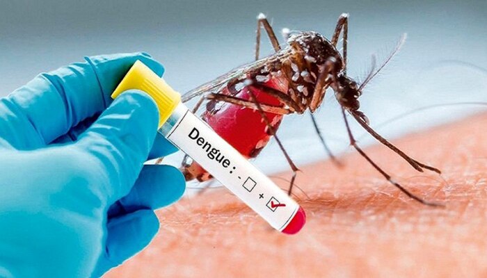 Medicine For Dengue Fever: ಕೊನೆಗೂ ಸಿಕ್ಕೆ ಬಿಟ್ತು ಡೆಂಗ್ಯೂ ಜ್ವರಕ್ಕೆ ಔಷಧಿ, ದೇಶದ ಈ 20 ಸ್ಥಳಗಳಲ್ಲಿ ನಡೆಯಲಿದೆ ಟ್ರಯಲ್