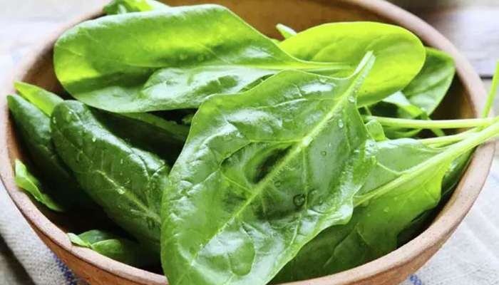 Spinach Side Effects:  ಪಾಲಕ್ ಸೇವಿಸುವ ಮುನ್ನ ಅದರ ಅಡ್ಡಪರಿಣಾಮಗಳು ತಿಳಿದಿರಲಿ  