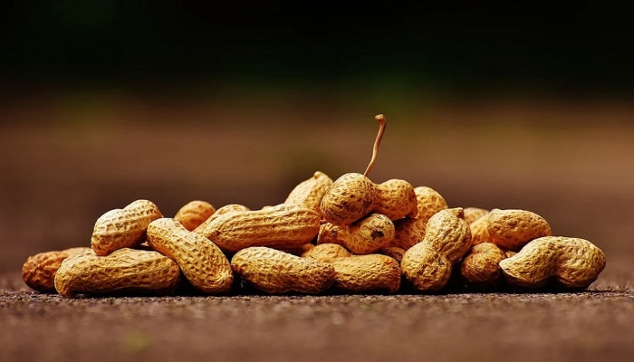 Peanuts Benefits: ಕಡಲೆಕಾಯಿಯನ್ನು ಸುಮ್ಮನೆ ಬಡವರ ಬಾದಾಮಿ ಎಂದು ಕರೆಯುವುದಿಲ್ಲ, ಇಲ್ಲಿವೆ ಅದರ ಅದ್ಭುತ ಪ್ರಯೋಜನಗಳು 
