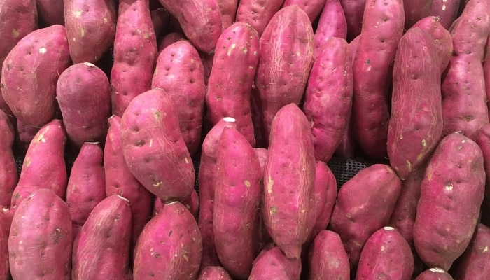 Health Benefits Of Sweet Potato: ಚಳಿಗಾಲದಲ್ಲಿ ಆರೋಗ್ಯಕ್ಕೆ ವರದಾನ ಗೆಣಸು, ಇಲ್ಲಿವೆ ಅದರ 7 ಅದ್ಭುತ ಲಾಭಗಳು title=