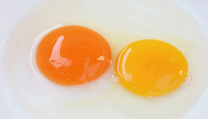 Benefits of Eating Eggs: ಮೊಟ್ಟೆಯಲ್ಲಿ ಎಷ್ಟು ಪ್ರೋಟೀನ್ ಇದೆ ಎಂದು ಅದರ ಬಣ್ಣದಿಂದಲೇ ಪತ್ತೆ ಹಚ್ಚಬಹುದು title=