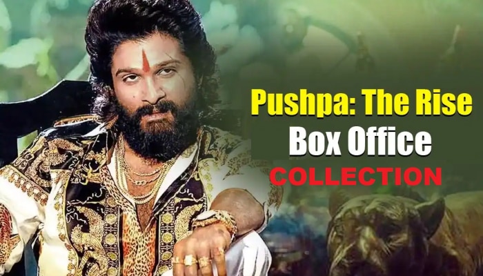 Pushpa Box Office Collection:ಕೇವಲ ಎರಡೇ ದಿನಗಳಲ್ಲಿ 100 ಕೋಟಿ ಕ್ಲಬ್ ಗೆ ಶಾಮೀಲಾದ 'ಪುಷ್ಪಾ' title=