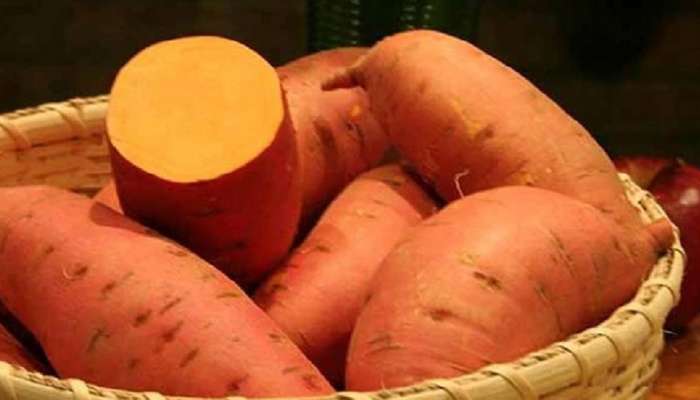 Sweet potatoes side-effects: ಗೆಣಸನ್ನು ಅತಿಯಾಗಿ ತಿನ್ನುವುದರಿಂದ ಆಗುವ ಅಡ್ಡಪರಿಣಾಮಗಳಿವು... title=