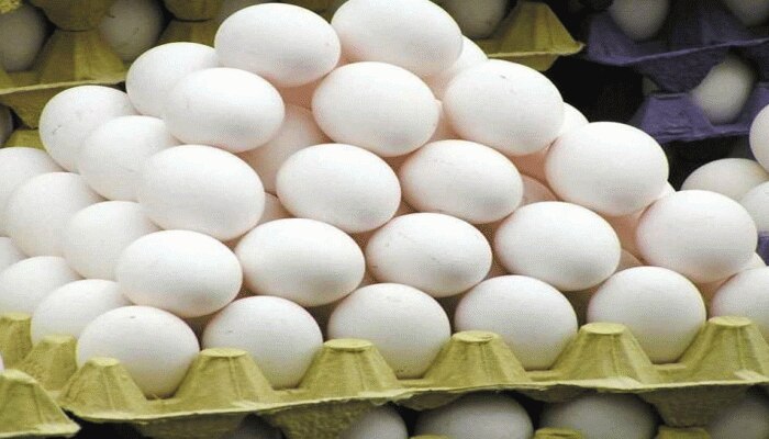 Eggs In Fridge: ಮೊಟ್ಟೆಗಳನ್ನು ಫ್ರಿಡ್ಜ್‌ನಲ್ಲಿ ಇಡುವುದು ಎಷ್ಟು ಸುರಕ್ಷಿತ? title=