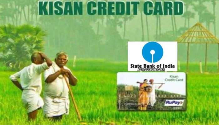 Kisan Credit Card : ಈಗ ಮನೆಯಲ್ಲಿ ಕುಳಿತೆ ಪಡಿಬಹುದು &#039;SBI ಕಿಸಾನ್ ಕ್ರೆಡಿಟ್ ಕಾರ್ಡ್&#039; : ಹೇಗೆ ಇಲ್ಲಿದೆ ನೋಡಿ