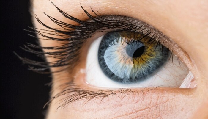 Eyes Secrets: ನಿಮ್ಮ ಕಣ್ಣುಗಳು ಕೂಡ ನಿಮ್ಮ ಆರೋಗ್ಯದ ಗುಟ್ಟನ್ನು ಹೇಳುತ್ತವೆ ಗೊತ್ತಾ? ಈ ಲಕ್ಷಣಗಳನ್ನು ಇಗ್ನೋರ್ ಮಾಡ್ಬೇಡಿ 